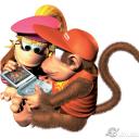 Diddy_Kong_And_Dixie_Kong4_a1